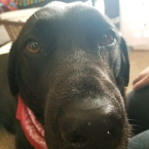 Meet your Posher, Katy